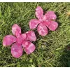 Σκουλαρίκια Pink Flower - Φούξια Σκουλαρίκια Pink Flower - Φούξια