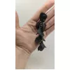 Leafy Earrings - Μαύρο Leafy Earrings - Μαύρο