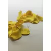 Leafy Earrings - Κίτρινο Leafy Earrings - Κίτρινο