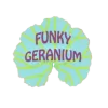 Funky Geranium